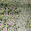 Leopard Lights Linen Fabric-1286344720