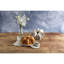 Fluted cake pan cake tin star