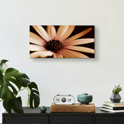 Epic Art «Osteospurmum On Black 02» par Tom Quarter «Osteospurmum On Black 02» par Tom Quartermaine