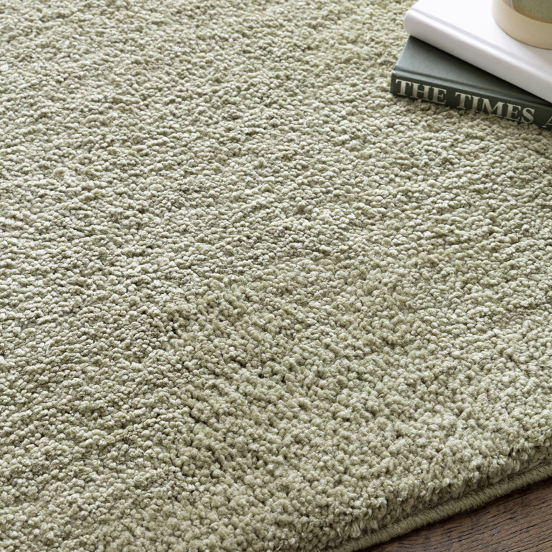 Ronalee Rectangle Shag Washable, Green, Rectangle 160 x 230 cm