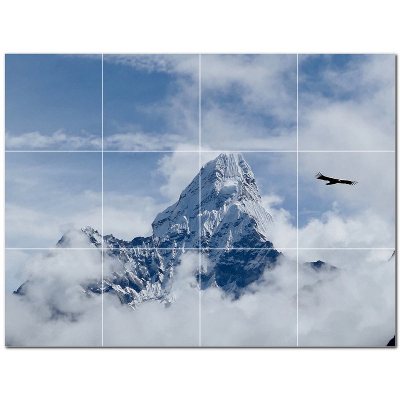 8 x 8