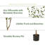 Faux feuillage en pot-1728014346