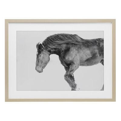 Winter Stallion Gallop, reproduction sous verre encadrée, conception par Amy Carroll