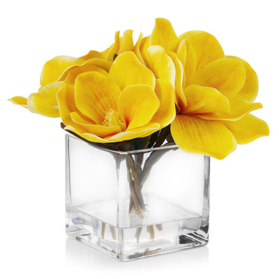 Magnolia dans un vase