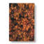 Autumn Forest in Bloom in Abstract - Wrapped Canvas-55315027