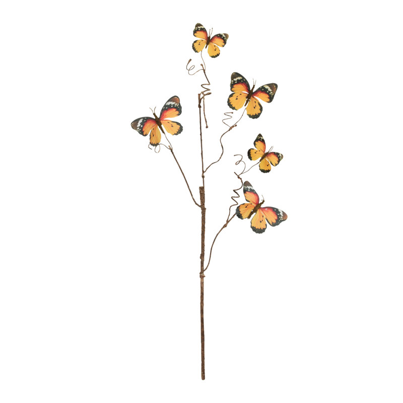 Brindille papillon, Orange