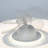 Emerys 18'' Ceiling Fan with LED Lights