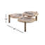 Table basse en bois pétrifié brun fait à la main avec base dorée