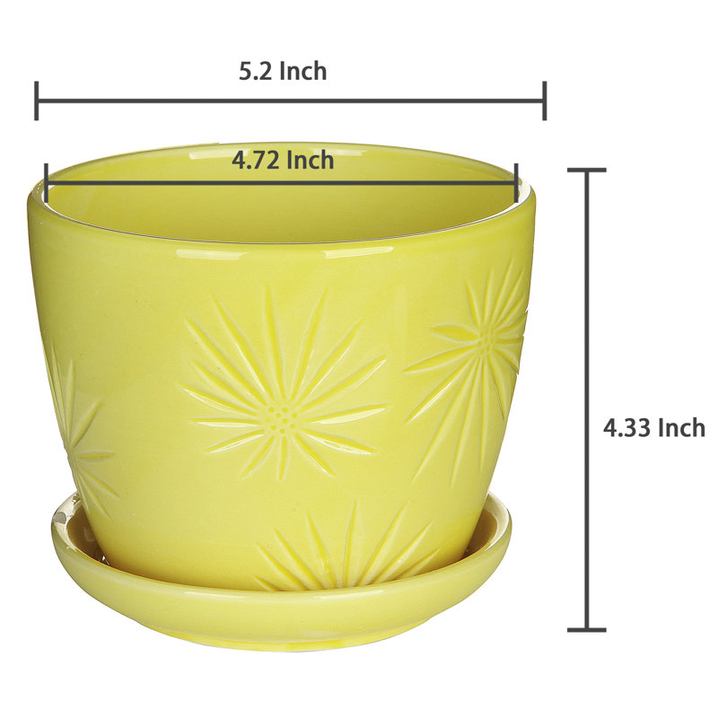 Magdaleno Ceramic Pot Planter