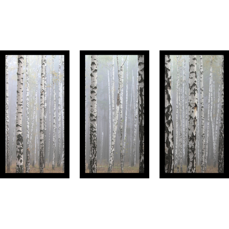 «Bircher Around 3», ensemble de 3 reproductions de photos sur plastique, H 25,5 po x l 40,5 po x P 1 po