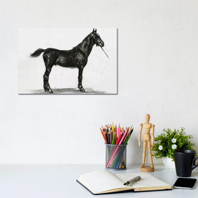 Horse Study III by Stellar Design Studio - Gallery-Wrapped Canvas Giclée on Canvas