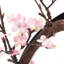 Brûleur d'encens Nesika