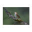 Art sur toile par Greg Barsh-470204764