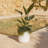 Camelia Series Modern Planter