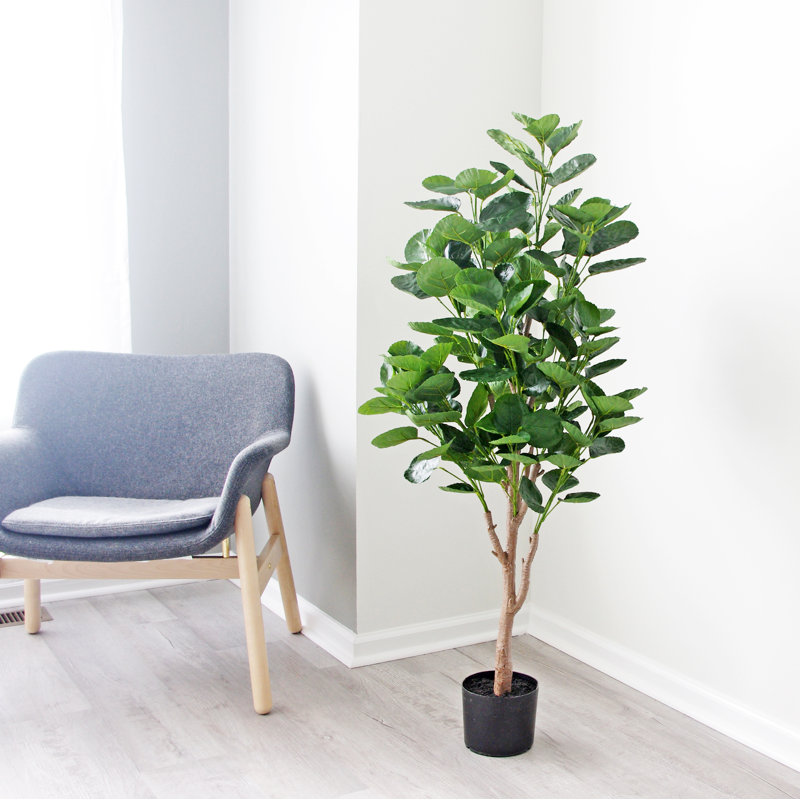 Arbre à toucher réel en pot, H 52 po x l 22 po x P 22 po
