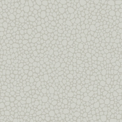 Landscape Plains Pebble Stone Wallpaper Roll