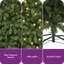 6ft Green Lighted Artificial Fir Christmas Tree