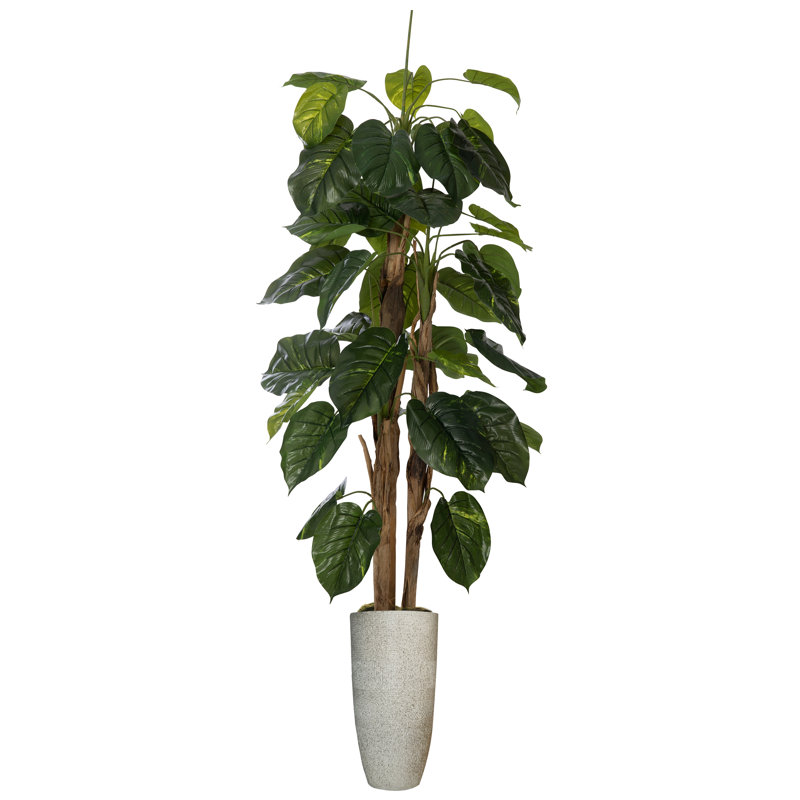 86 " H Faux Devil's Ivy Tree in Stone and Resin Planter