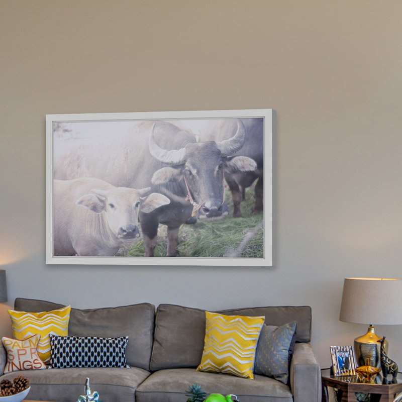 Parvez Taj - Single Picture Frame Print, 41cm H x 61cm W x 3.81cm D