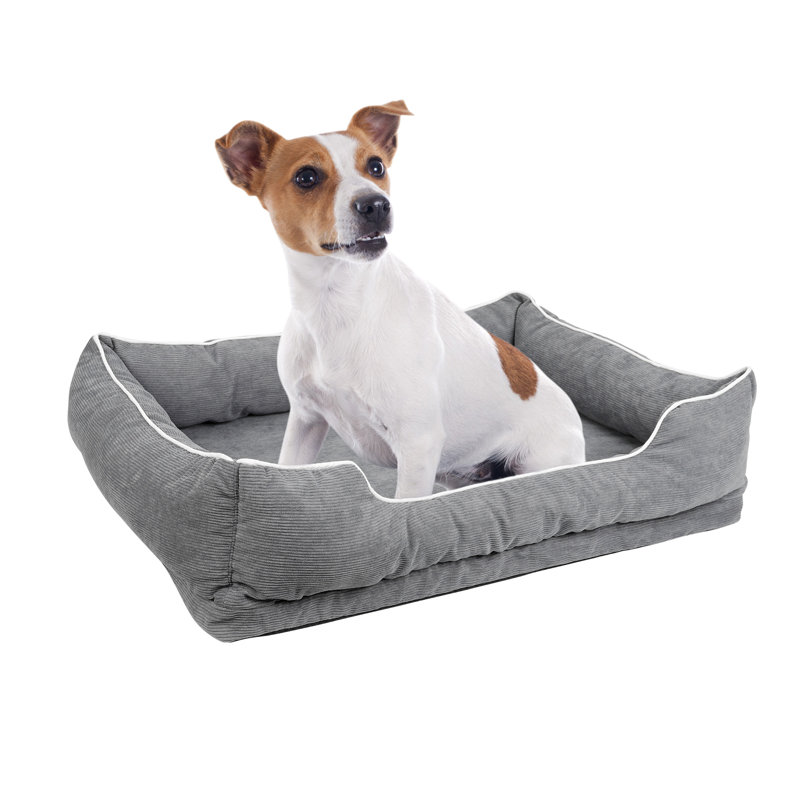 Lit pour chien Aafrin, Petit (l 32 po x P 22 po x H 9 po)