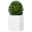 Planter Box-104931342-104931346