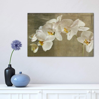 Orchidée peinte - reproduction d'art