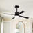 Kessia 48'' Ceiling Fan with LED Lights-1839298042