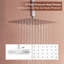 Herathena 3 Functions Ceiling Mounted Luxury Shower System with 6 Body Jets (Rough-in Valve Included)-66097077