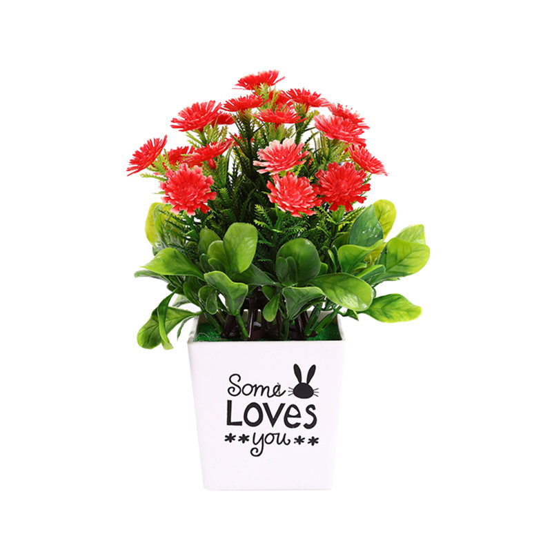 Arrangement floral de chrysanthèmes en pot, Rouge