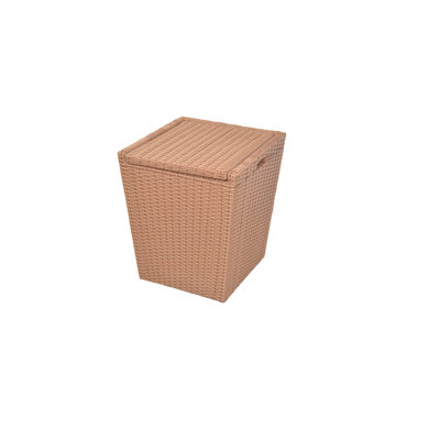 Plastic Laundry Basket with Handles