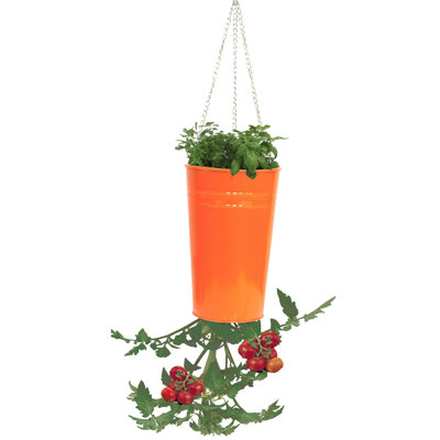 Kile Metal Hanging Planter