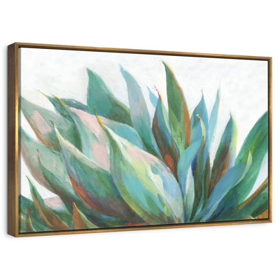 Agave vibrant