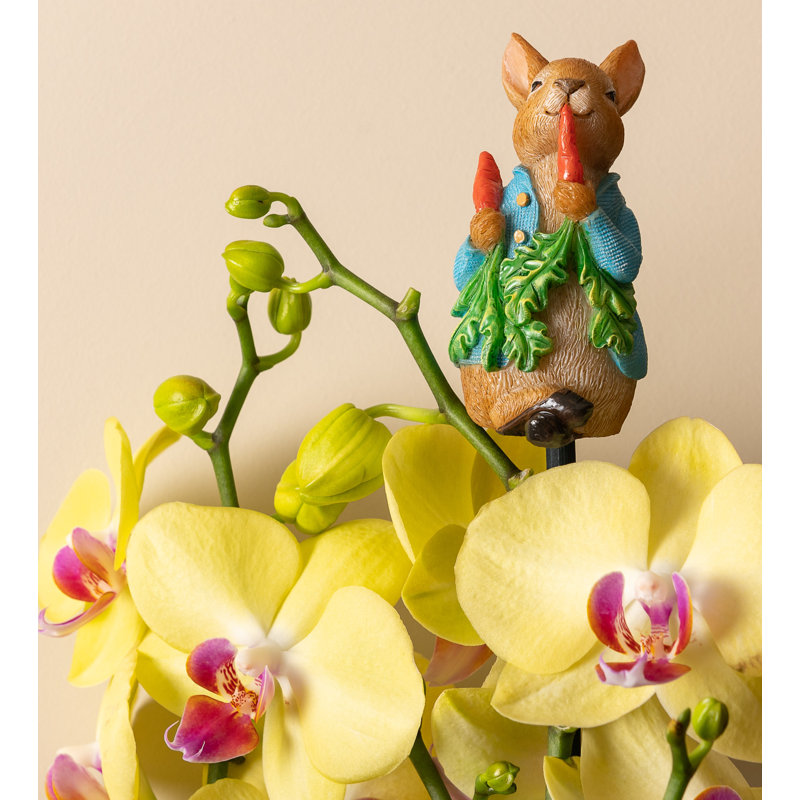 Peter Rabbit Eating Radishes
