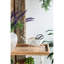 11,5 po de largeur, fer blanc, pot à fleurs style brouette, fleurs fraîches, plantes grasses, plateau de table