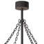 Tamarack Downrod Ceiling Fan