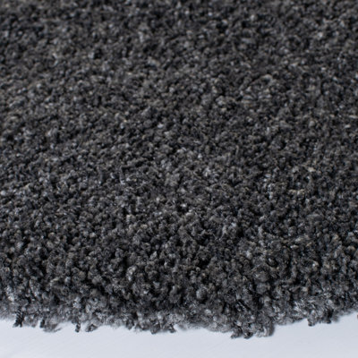 Delane Dark Gray Area Rug