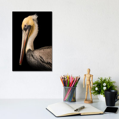 A Brown Pelican At The Santa Barbara Wildlife Care Network by Joel Sartore - Gallery-Wrapped Canvas Giclée on Canvas