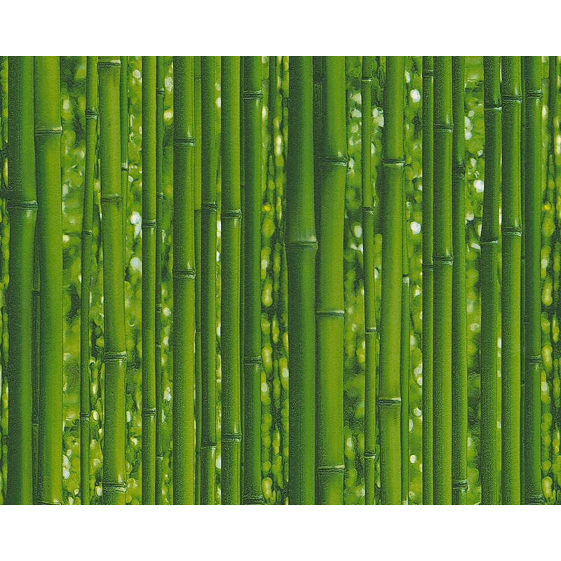 Rouleau de papier peint 33 pi x 21 po naturellement Dekora Natur 6