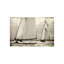 Sailing South Print by Sofia Fox-26946520-26946524