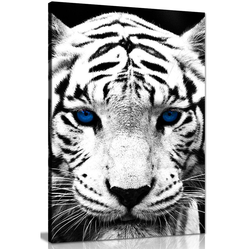 Wrapped Canvas Print, 91cm H x 61cm W