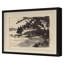 Rural Studies 4 Print by Ngo, PC