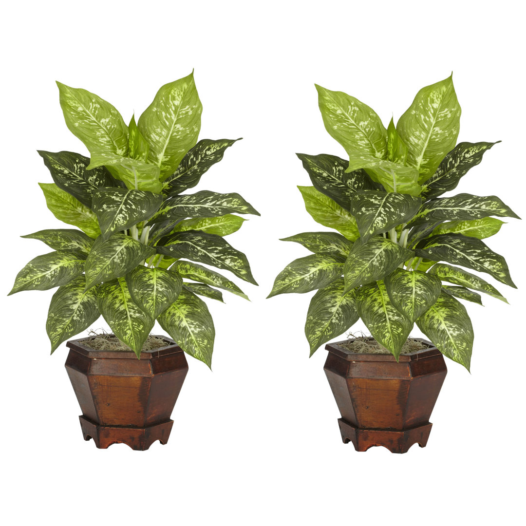 20.5'' Faux Foliage Plant in Wood Pot (Set of 2) Primrue