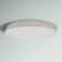 Warrenton LED Flush Mount
