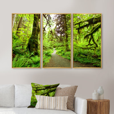 " Footpath In Redwood Rain Forest " 3 - Pieces