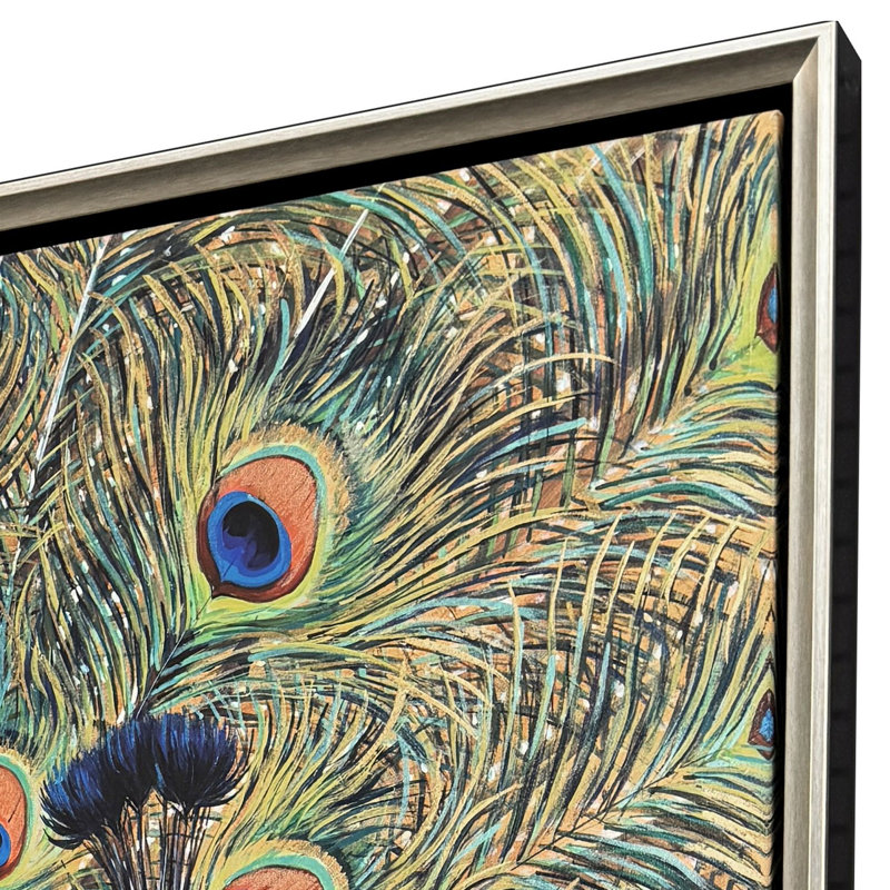 Peacock Plumage Canvas