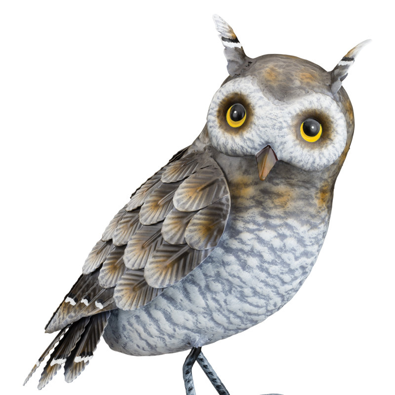 Hibou gris