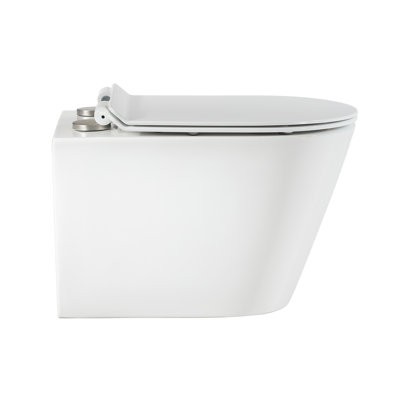 Calice Wall-Hung Toilet Bundle 0.8/1.6 GPF Dual Flush With Flush Plate