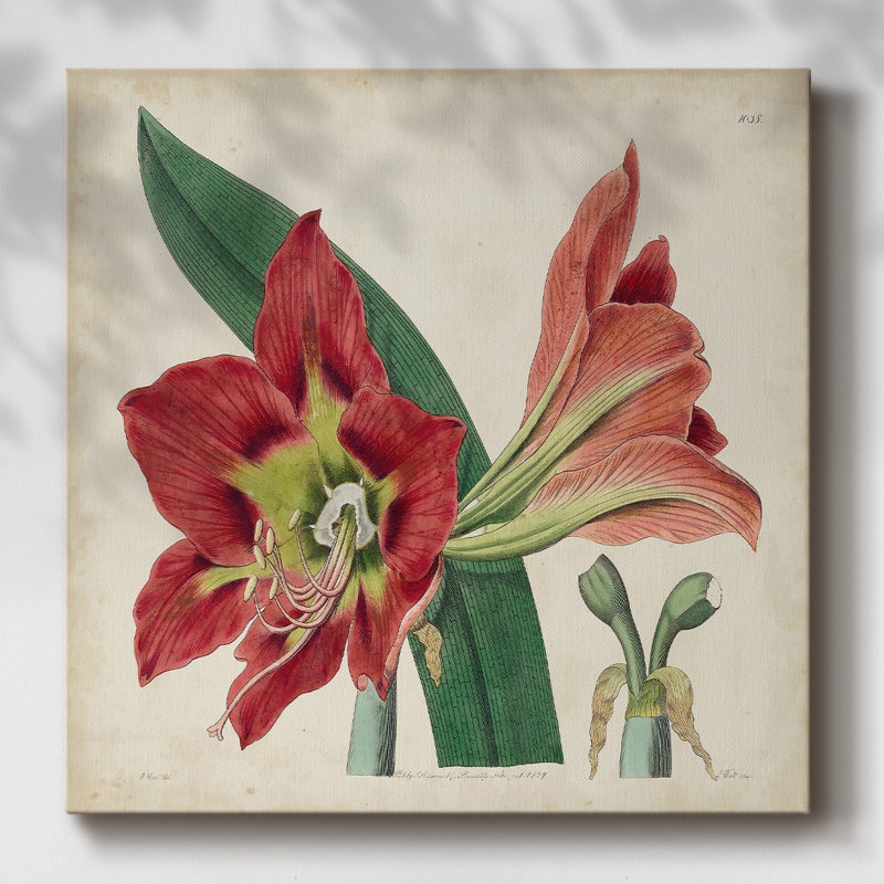 Sur toile, H 16 po x l 16 po x P 1,5 po