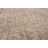 Helmtrud Chenille Oriental Indoor Rug