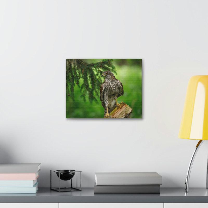 Art mural oiseau majestueux, H 11 po x l 14 po